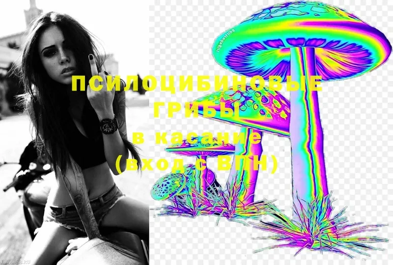 Галлюциногенные грибы Cubensis  Верхняя Пышма 